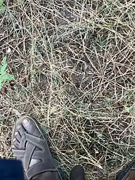 tamil000000 online show from March 11, 1:37 am