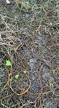 tamil000000 online show from March 16, 1:38 am