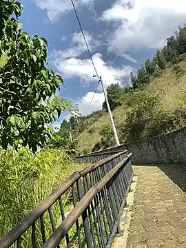 ElNegroRony online show from December 9, 2:49 pm