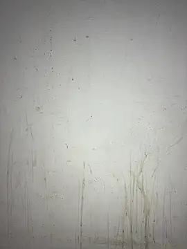 poision51 online show from January 27, 6:30 am