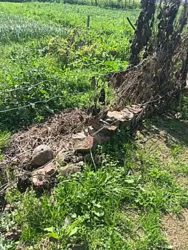 poision51 online show from February 23, 7:55 am