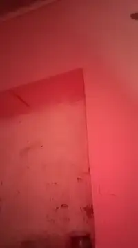 sosarax online show from January 30, 11:22 am