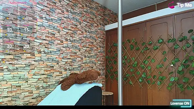 Snapshot of couple_lovelyds chatting on December 2, 9:21 pm couple lovelyds online show from December 2, 9:21 pm