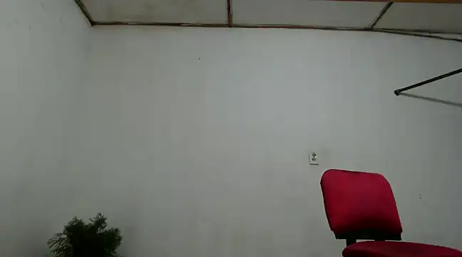 fernandez latinblackk online show from December 4, 11:02 pm