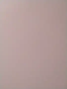 PracticalGum40 online show from December 2, 10:18 am