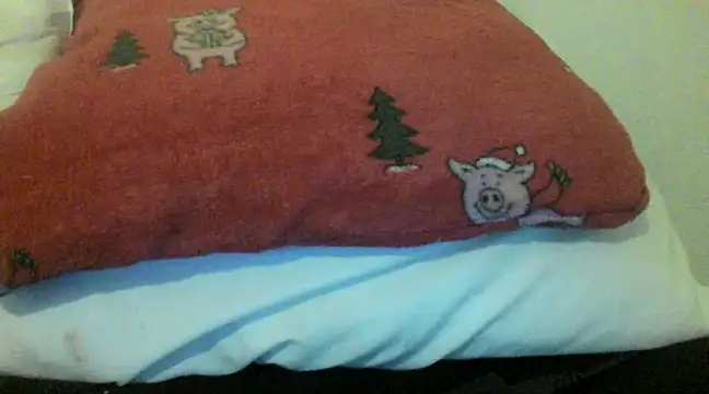 Snapshot of bunnyamy chatting on December 5, 6:00 pm bunnyamy online show from December 5, 6:00 pm