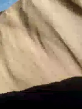 Snapshot of CptDickX258 chatting on January 12, 5:22 pm CptDickX258 online show from January 12, 5:22 pm