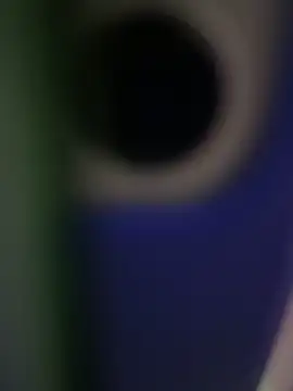 Snapshot of rodrigo21Cm_ chatting on February 14, 9:32 pm rodrigo21Cm online show from February 14, 9:32 pm