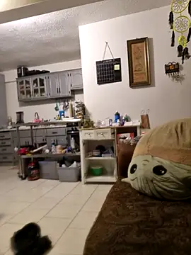 Snapshot of abdierkader chatting on November 12, 9:03 pm abdierkader online show from November 12, 9:03 pm