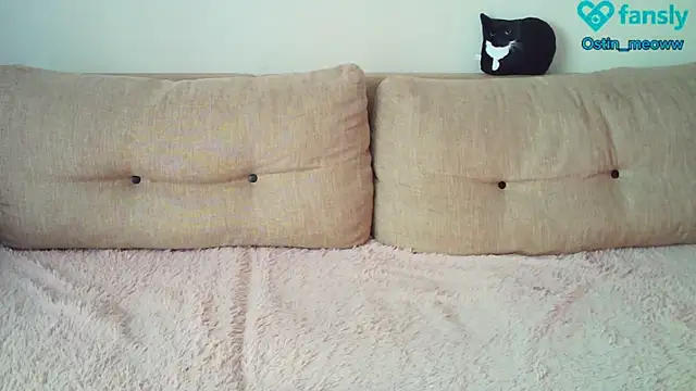 Ostin meow online show from February 20, 6:39 am