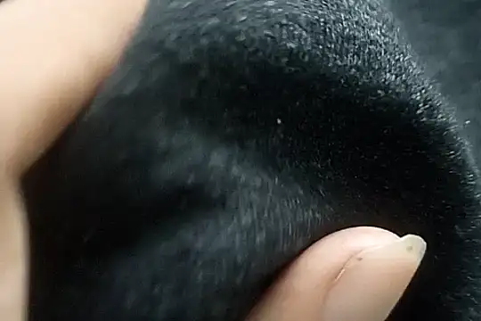 Telugu sollakaya online show from December 2, 6:43 pm