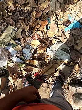 faaseel online show from April 23, 9:41 am