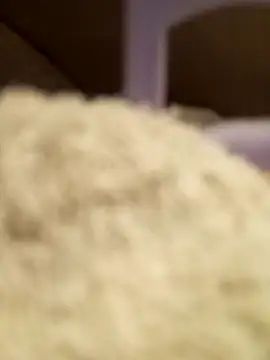 FlacoDani online show from April 28, 4:45 pm