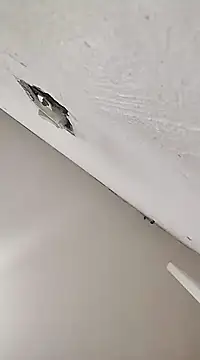 cerejinha hot online show from December 16, 4:34 am