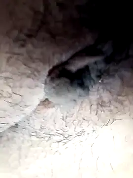 lemon69Reo online show from February 26, 9:48 pm