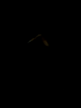 Snapshot of DaWoD030 chatting on January 19, 5:18 pm DaWoD030 online show from January 19, 5:18 pm