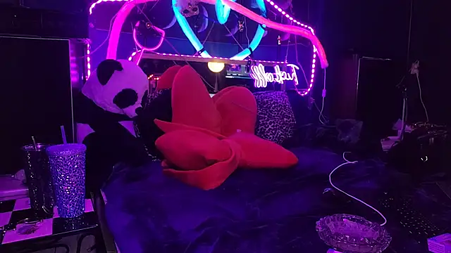 Snapshot of anonymouszN chatting on February 23, 10:31 pm anonymouszN online show from February 23, 10:31 pm