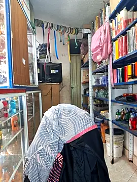 nidia2026 online show from November 16, 2:22 pm