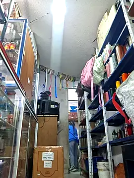 nidia2026 online show from December 5, 3:30 pm