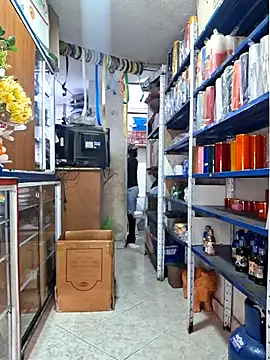 nidia2026 online show from March 17, 1:25 pm