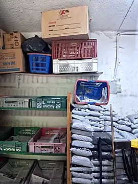 nidia2026 online show from April 21, 1:06 pm