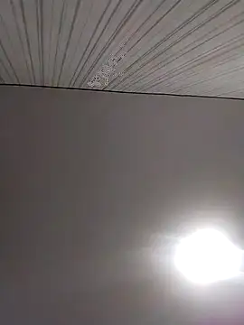 Lorrain Dorrie online show from December 2, 6:30 am