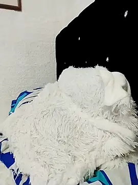 ElizabethWeil online show from December 15, 3:16 pm