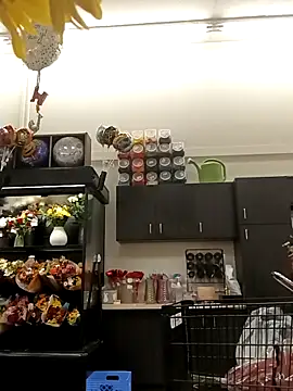 kobrashekyng online show from October 20, 2:39 pm