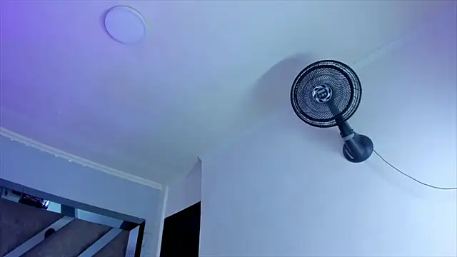 AlliJadid online show from February 27, 1:49 pm