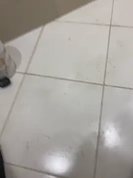 Snapshot of Lahcene chatting on February 7, 5:38 pm Lahcene online show from February 7, 5:38 pm