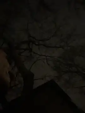 -yakimov- online show from January 31, 7:34 pm