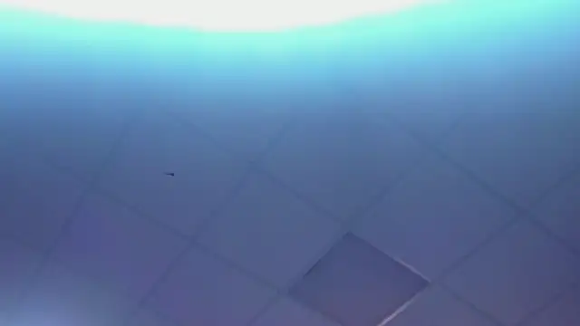 Snapshot of Lexy-Woorhez chatting on February 28, 1:36 pm Lexy-Woorhez online show from February 28, 1:36 pm