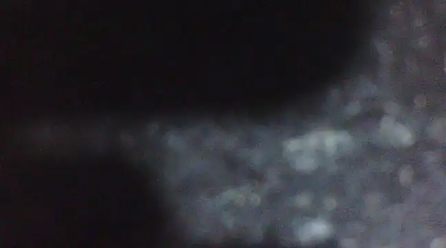 Penis58 online show from February 10, 6:56 pm