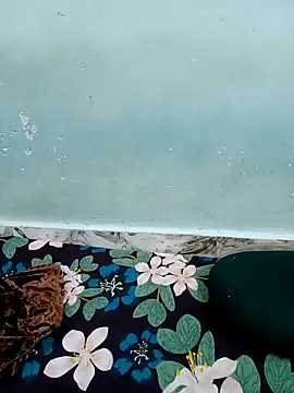 Snapshot of Haniya-143 chatting on December 15, 9:41 pm Haniya-143 online show from December 15, 9:41 pm