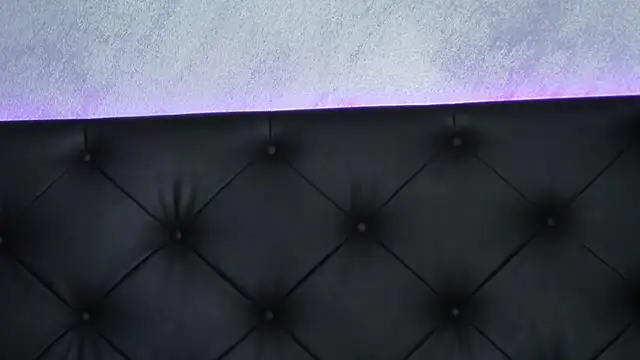 Snapshot of SkylerSpark chatting on January 20, 12:46 am SkylerSpark online show from January 20, 12:46 am