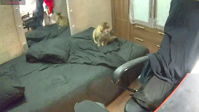 Julia dolls online show from December 14, 7:03 pm