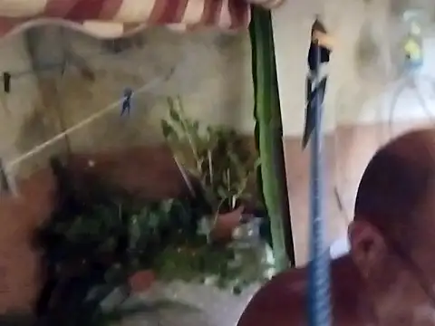 soy 5 online show from September 10, 8:53 pm