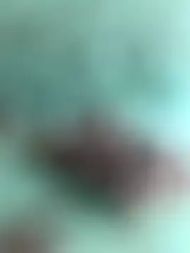 Indiancockmilk online show from January 31, 6:35 am