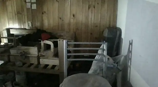 italianbighorse22 online show from January 18, 6:03 am