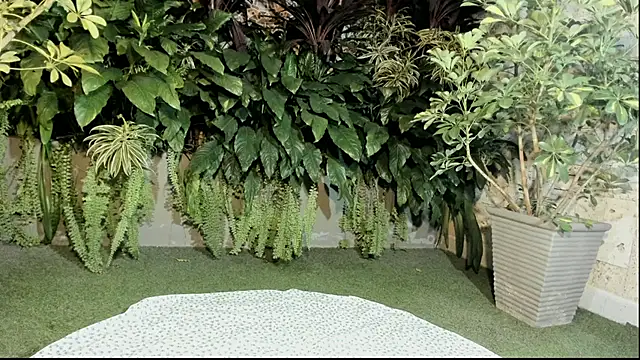 Snapshot of loladupont chatting on September 10, 3:06 am loladupont online show from September 10, 3:06 am