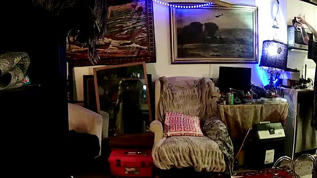 SilverandFox online show from January 27, 9:34 am