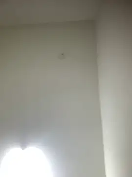 Snapshot of bidex002 chatting on May 15, 10:50 pm bidex002 online show from May 15, 10:50 pm