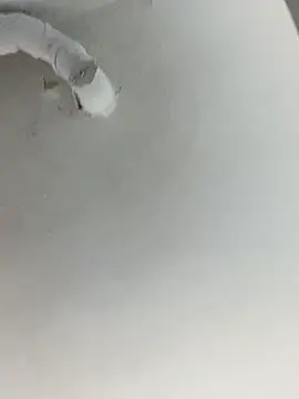 ekskekejejej online show from September 28, 2:55 pm