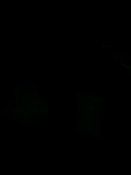 Snapshot of andreiwhite2_ chatting on December 18, 12:06 am andreiwhite2 online show from December 18, 12:06 am