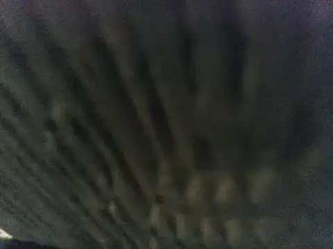 party51502 online show from March 8, 7:20 pm