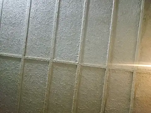 zaneporter46 online show from February 8, 3:52 am