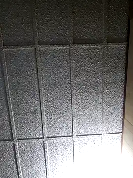 zaneporter46 online show from March 1, 9:07 am