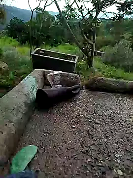 crazysex095 online show from January 2, 8:46 pm