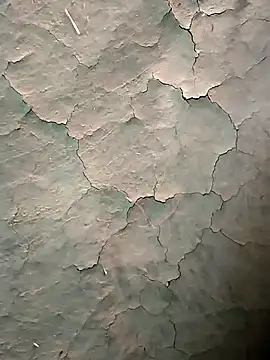 Guru2 online show from January 16, 10:52 am