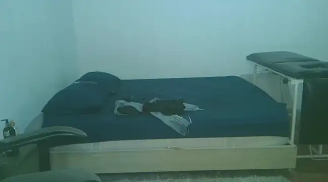 Snapshot of David_Adams2003 chatting on February 2, 4:54 pm David Adams2003 online show from February 2, 4:54 pm